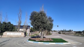 Recepción